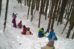 Spielgruppe-Altstaetten-Wald-1