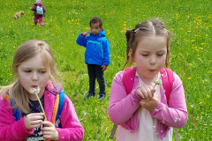 Spielgruppe-Altstaetten-Wald-11